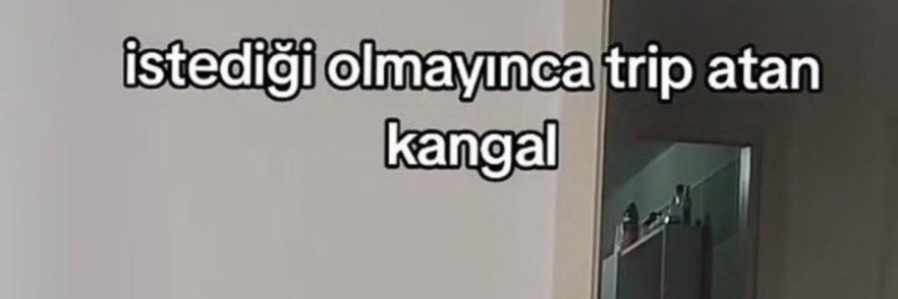 Nehir Doğan