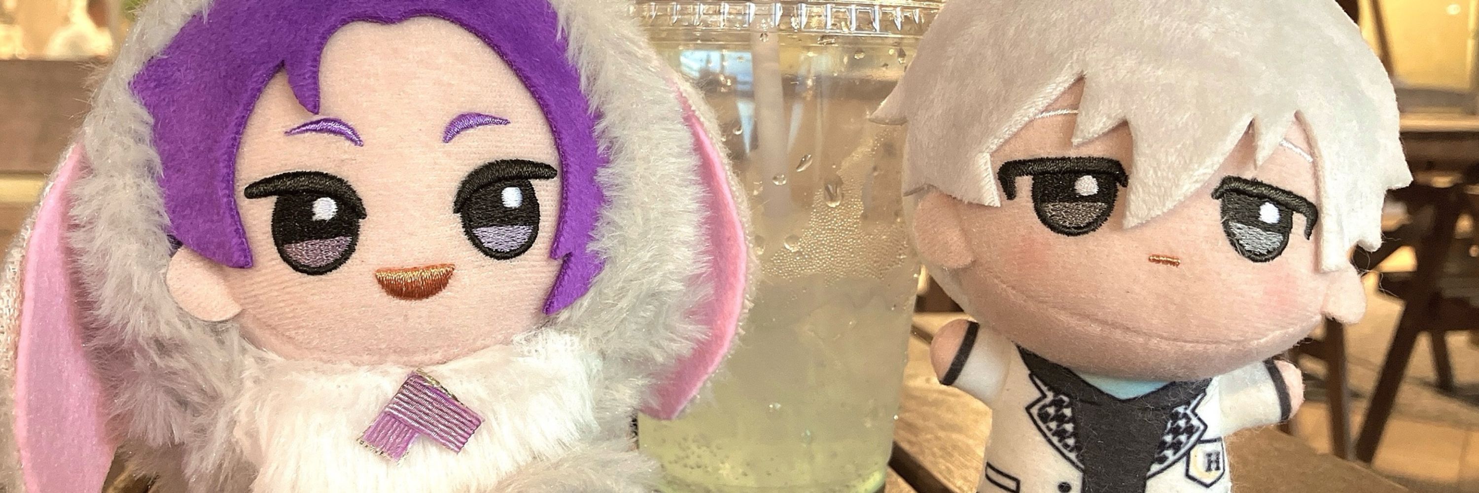こちゃ