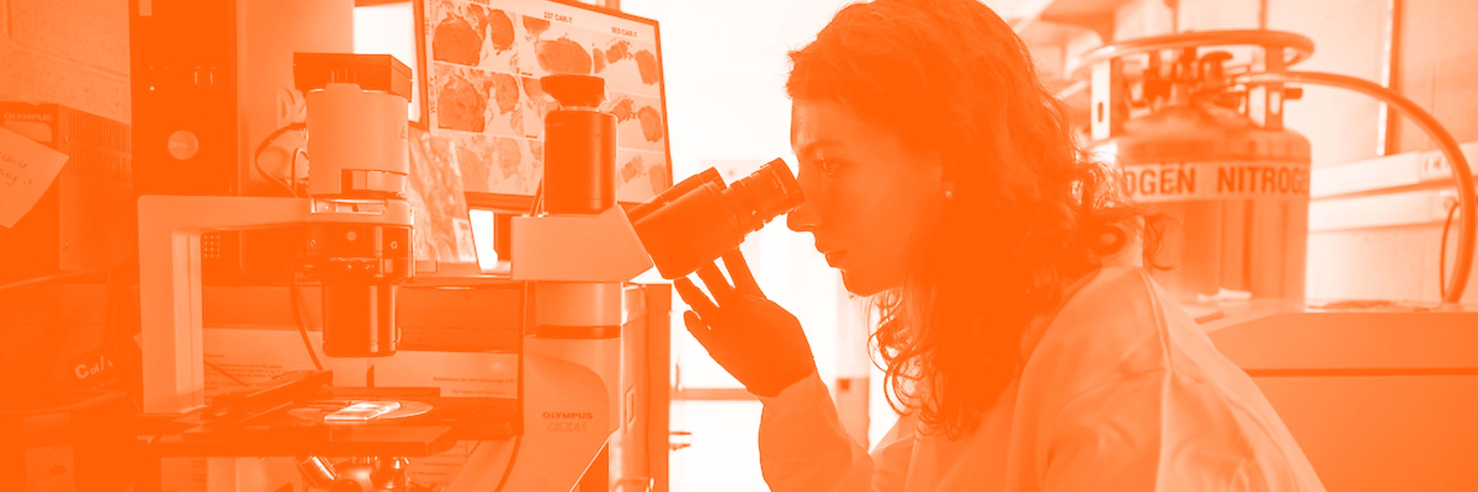 School of Molecular & Cellular Biology at Illinois (U. of I.)