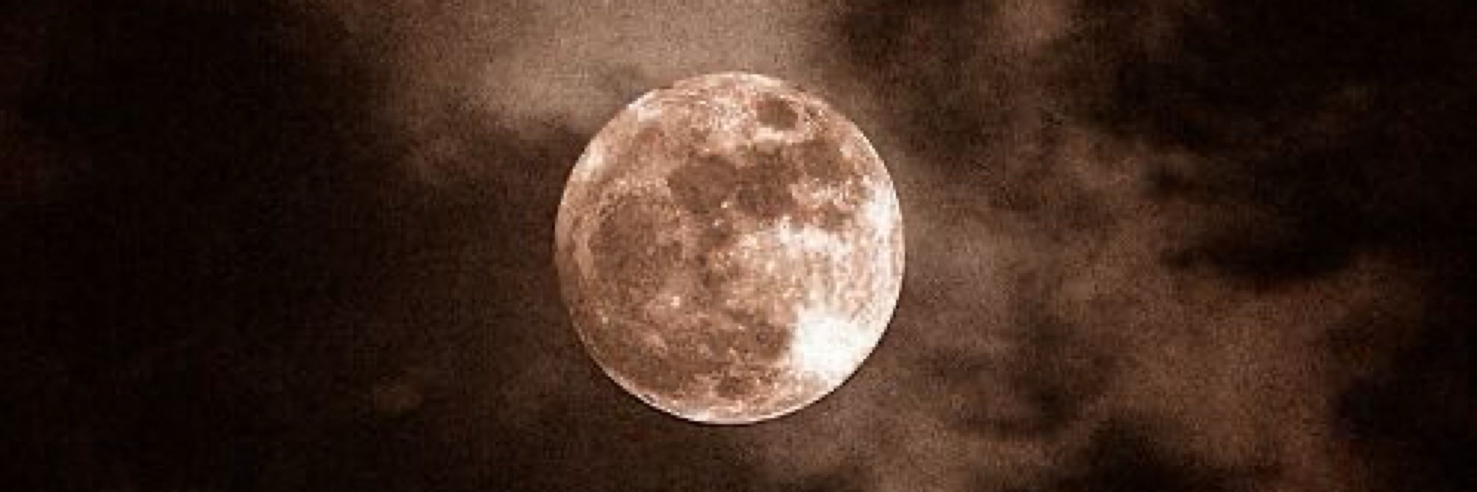 amanda🌖