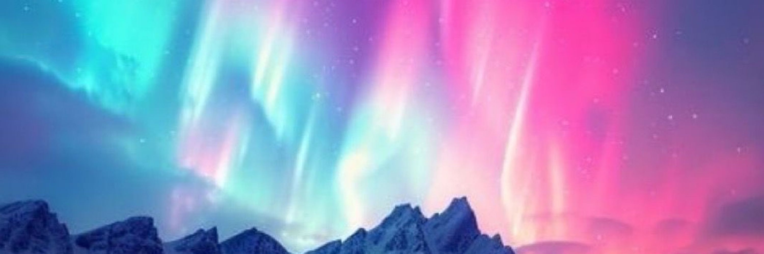☆ ᴛʜᴇ ʙᴜɴɴʏ ᴡɪᴛᴄʜ ☆