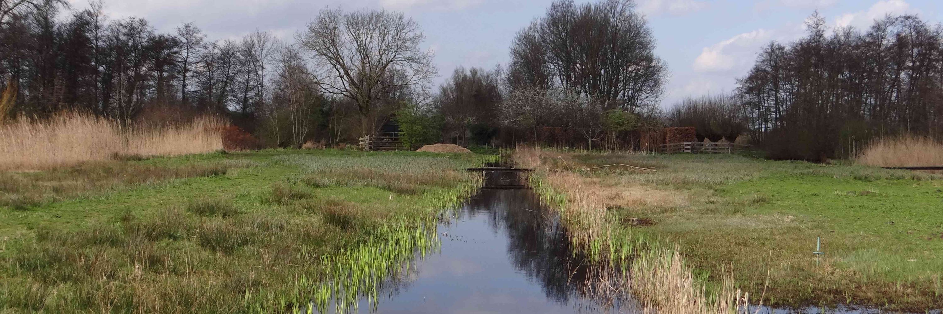 Stichting Heemtuin Goudse Hout