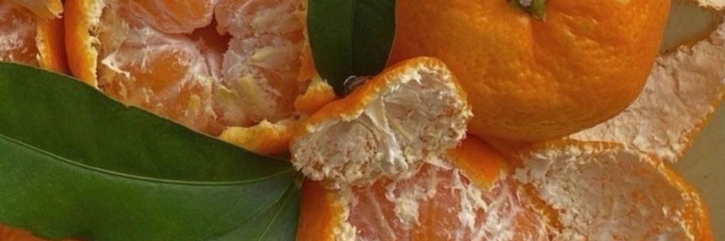 🍊 炎上 • Enjo 🍊