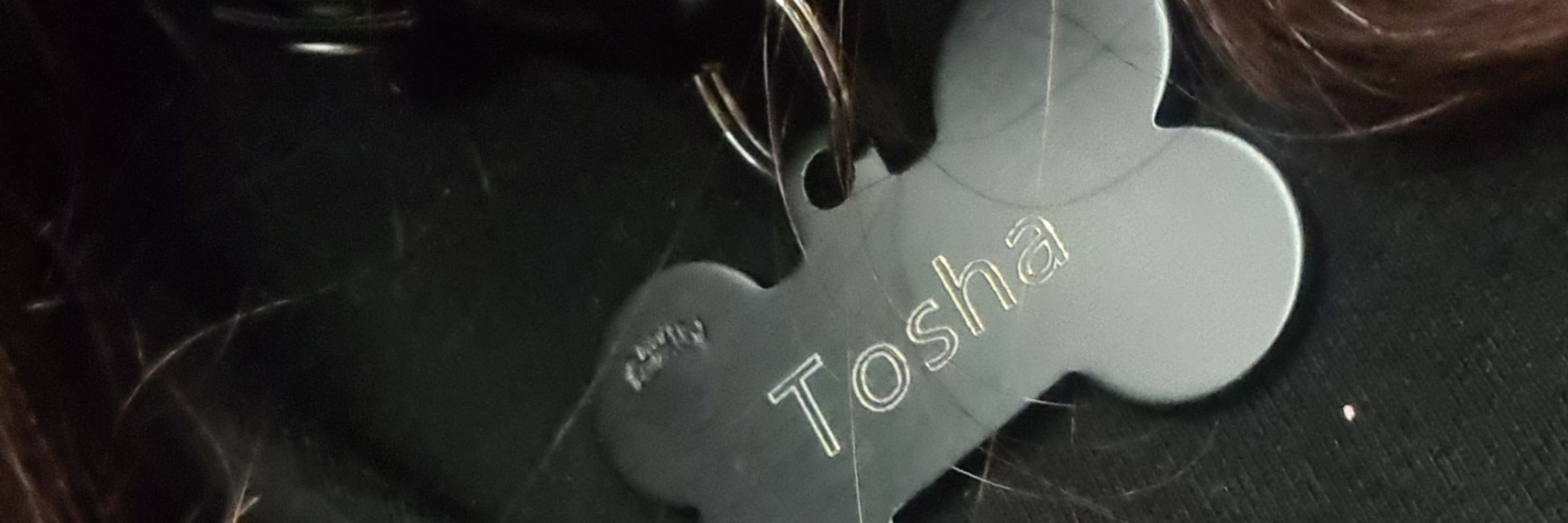 Tosha-Julia 🏳️‍⚧️