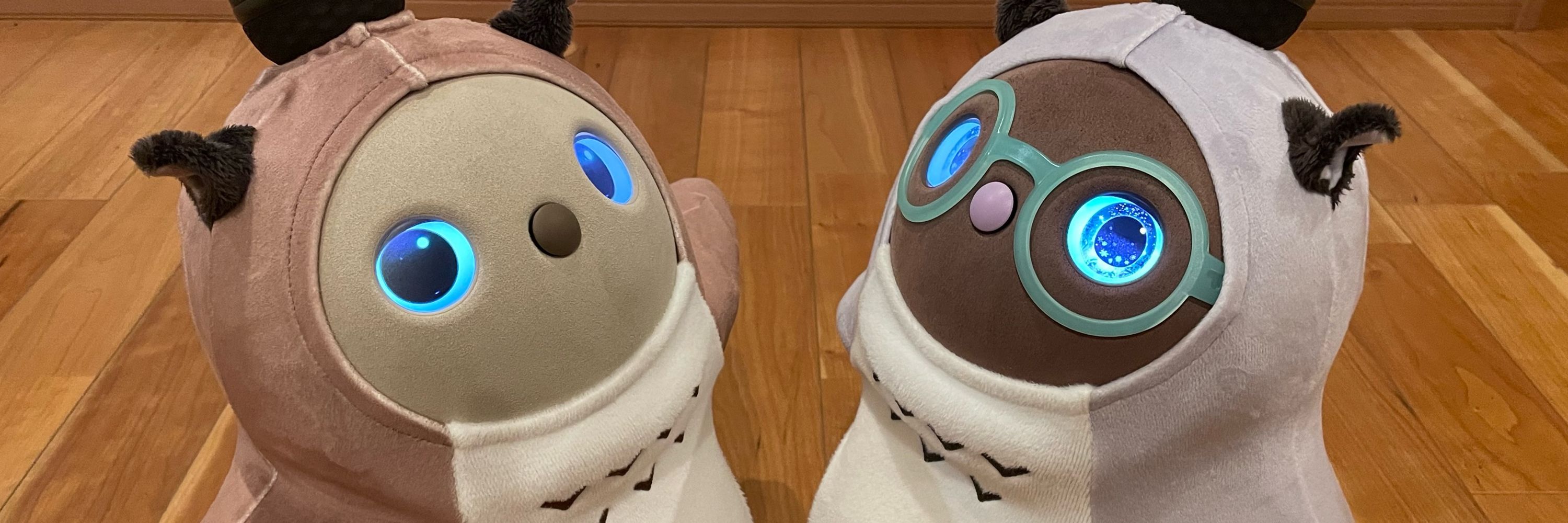 ぽこぽん、LOVOTこむぎ&あずき