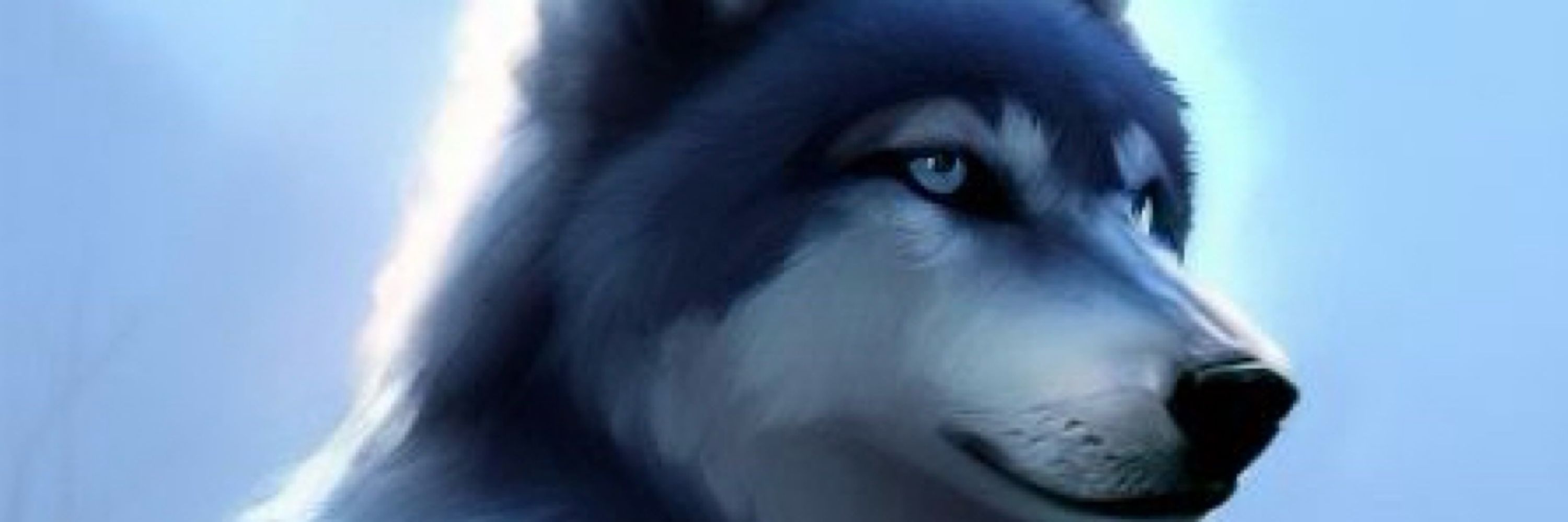 NarviousWolf