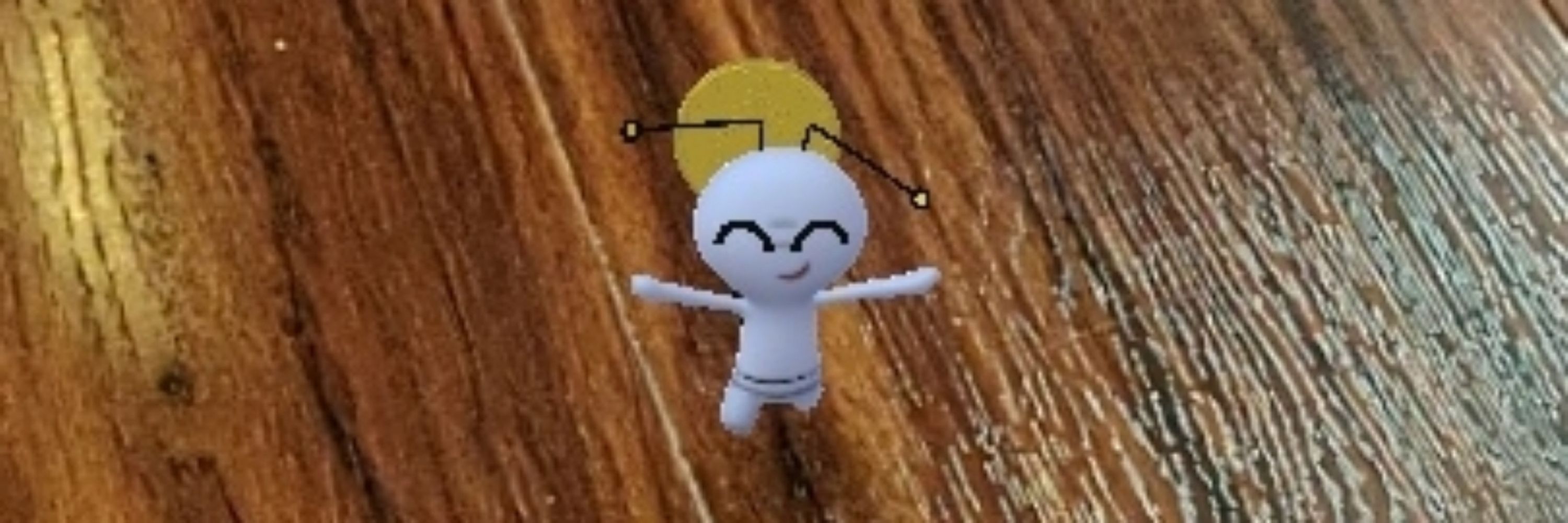毬藻田 陽
