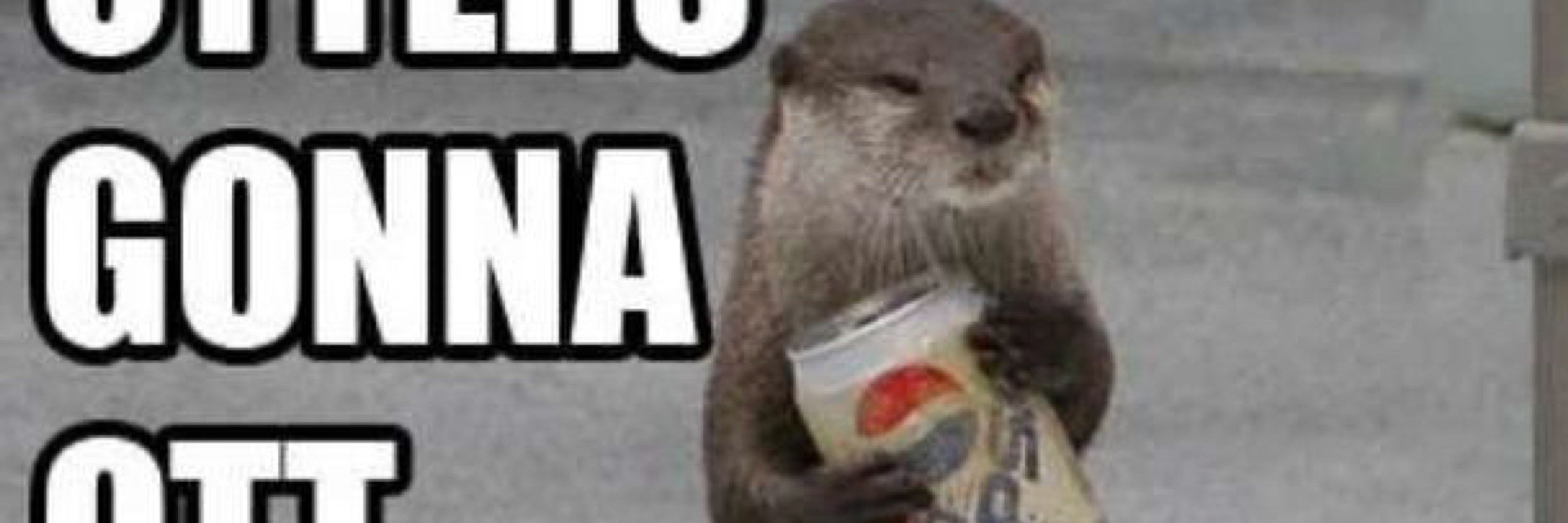 Salen Otter
