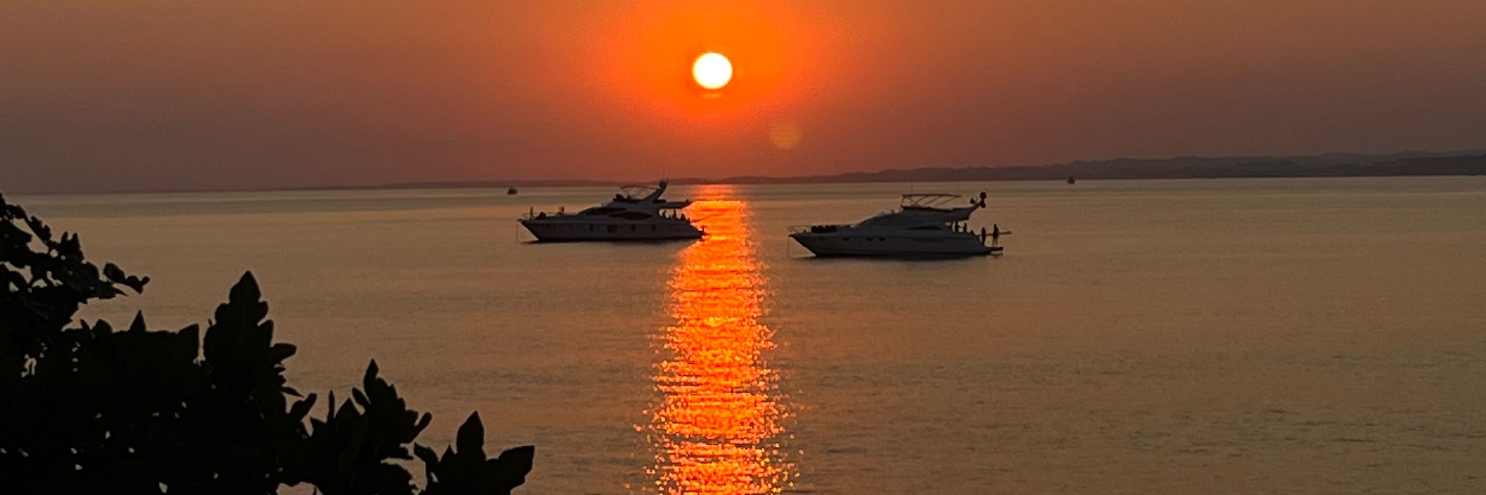 Seydanur