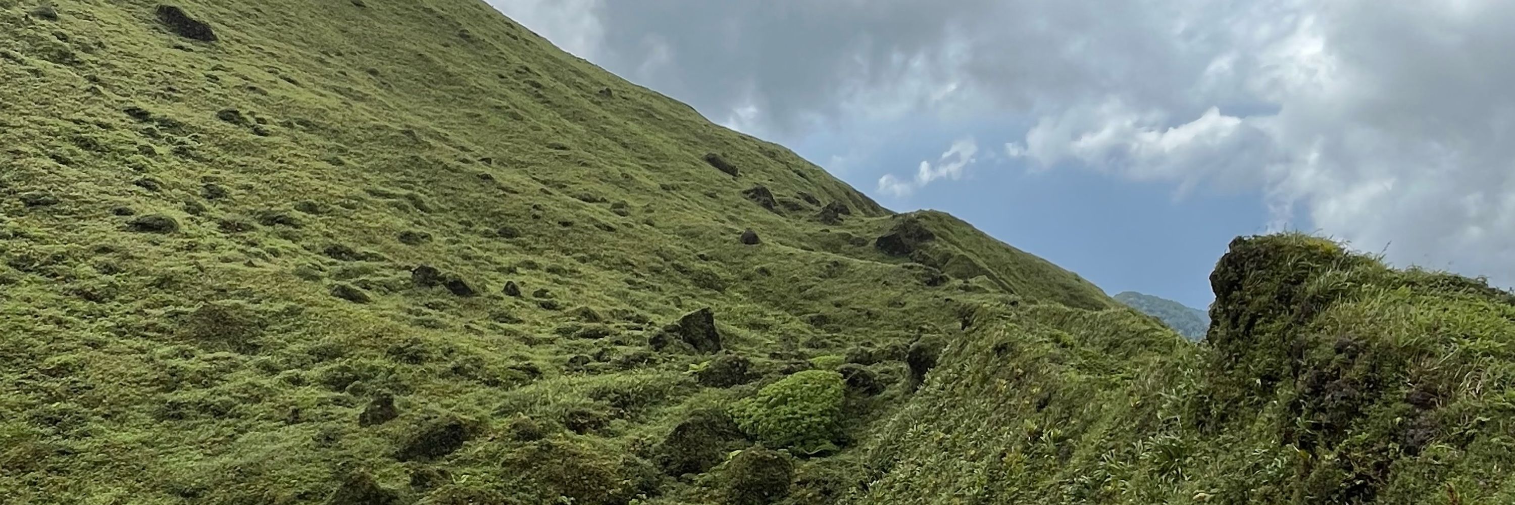 Ppkotila