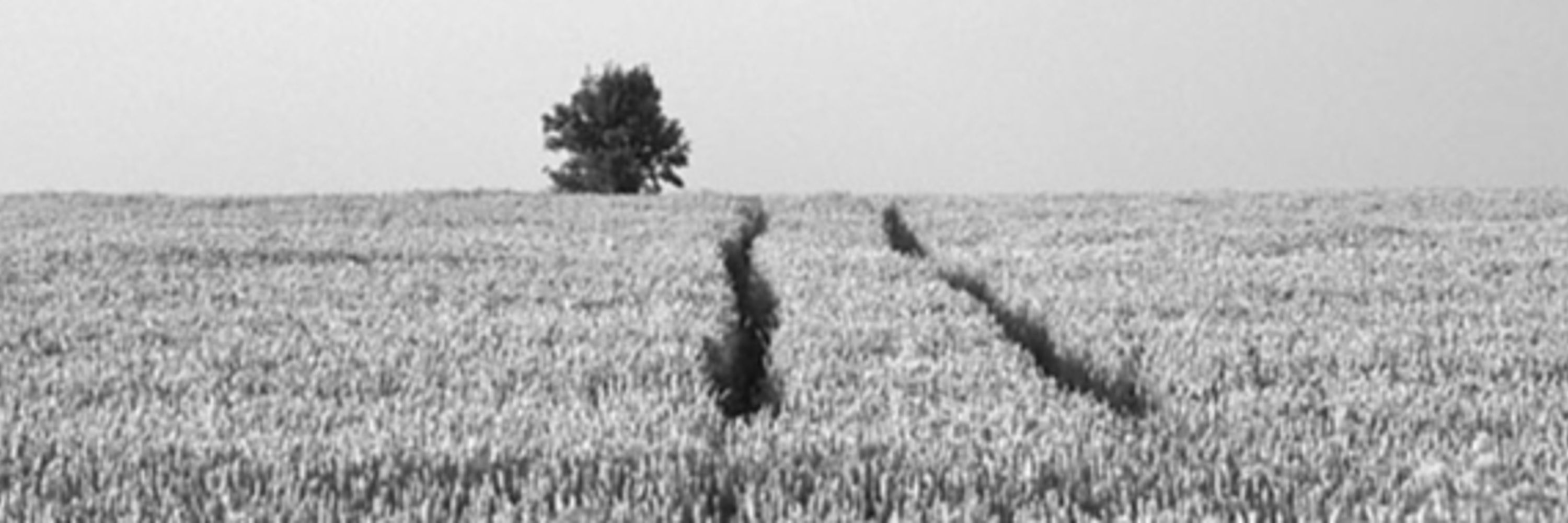 Acornheart county exploration project