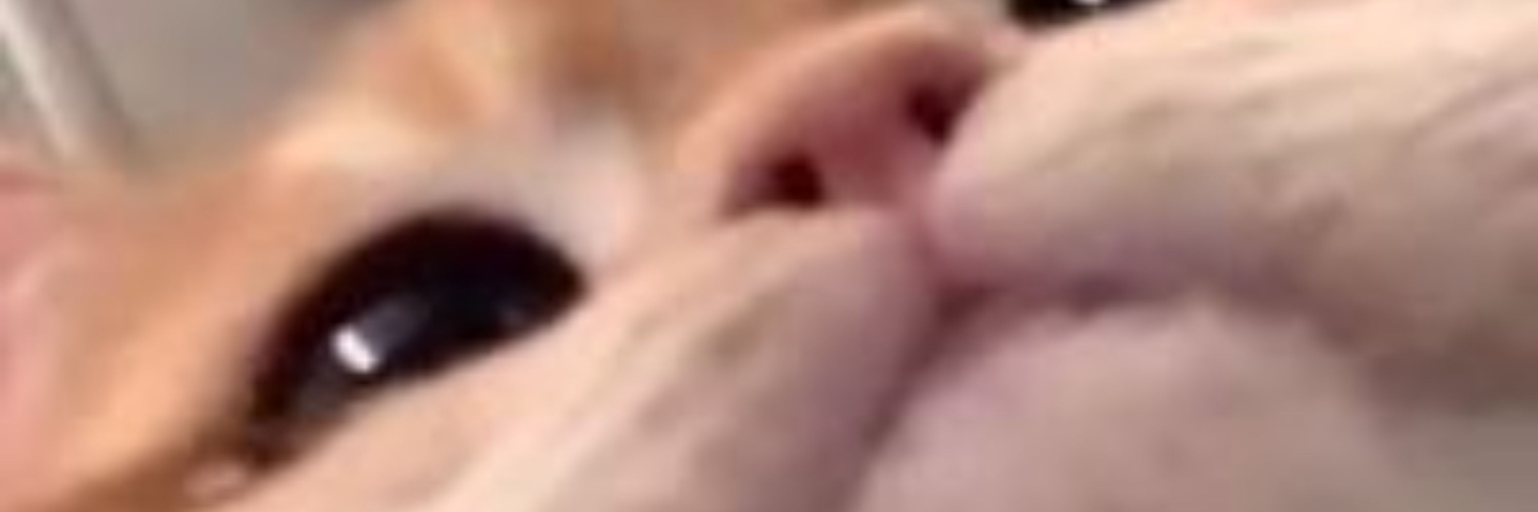 Lua