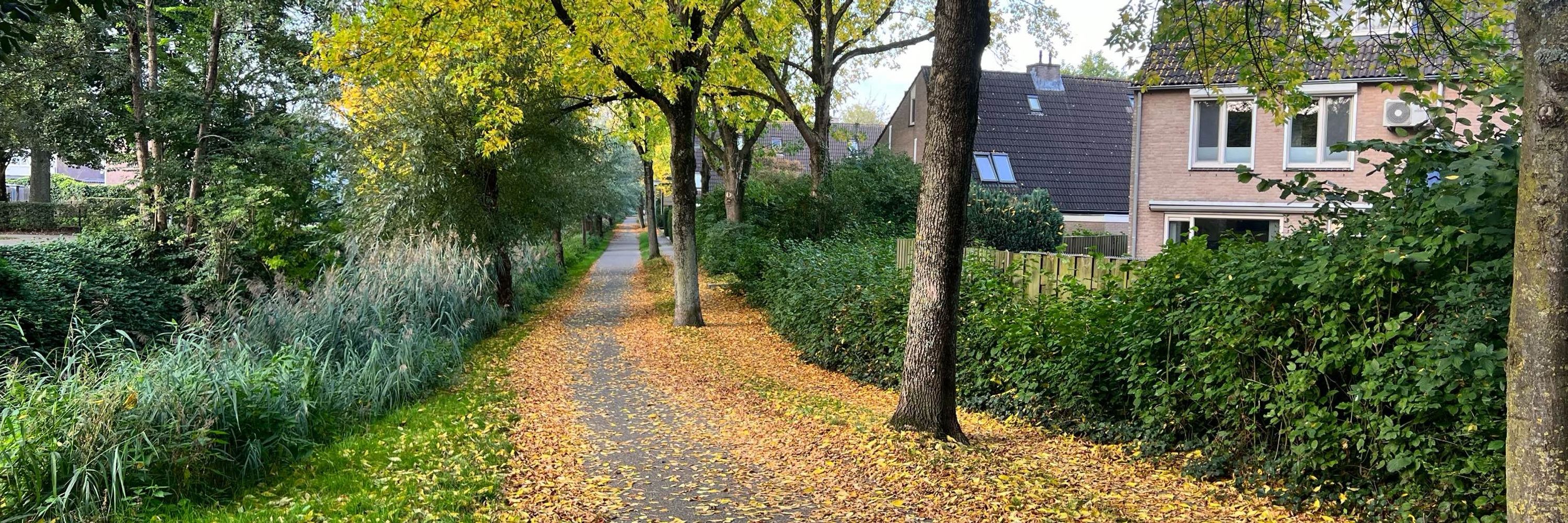 Rickje