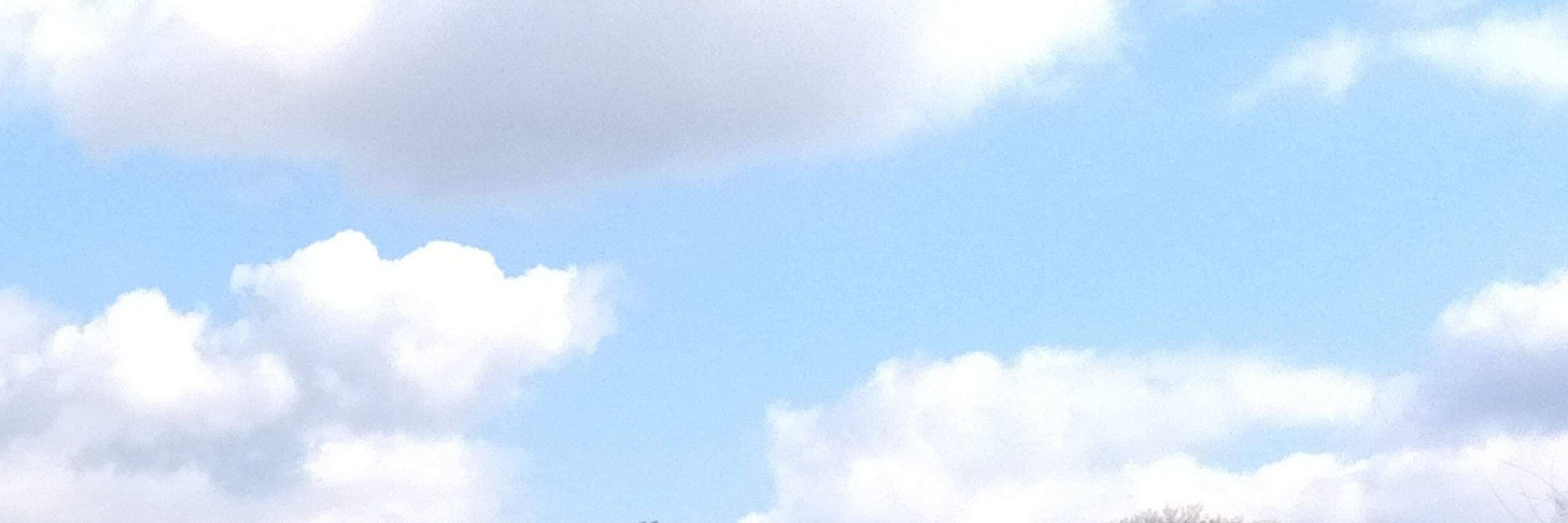🔵