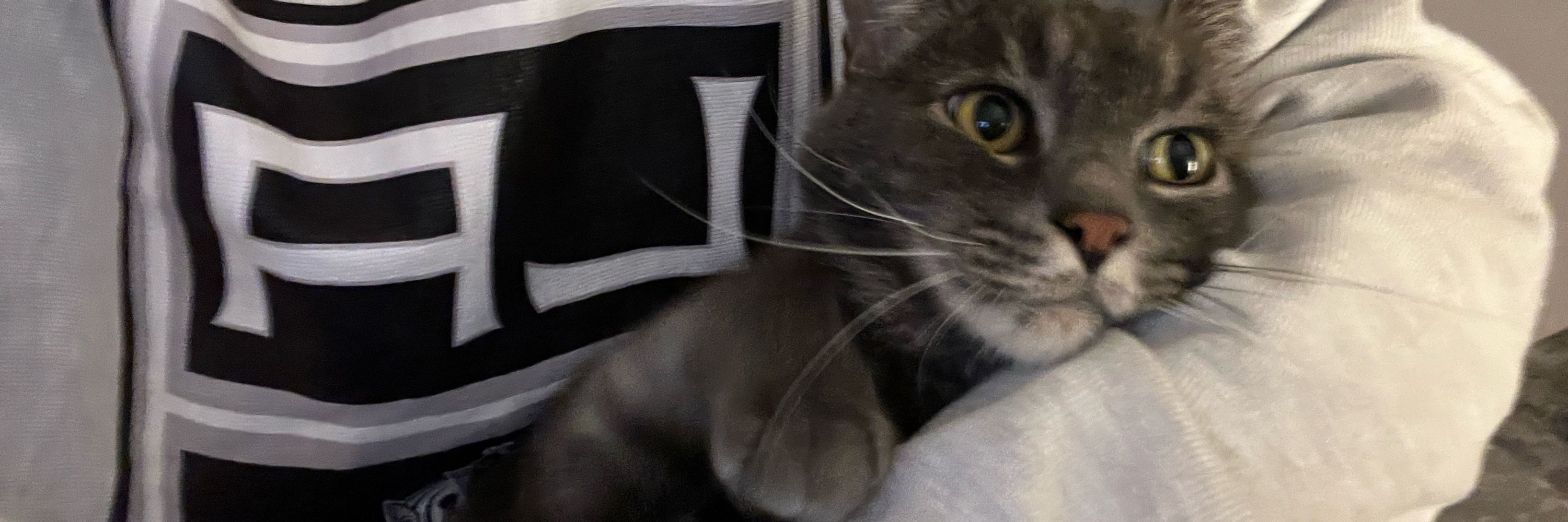 kat