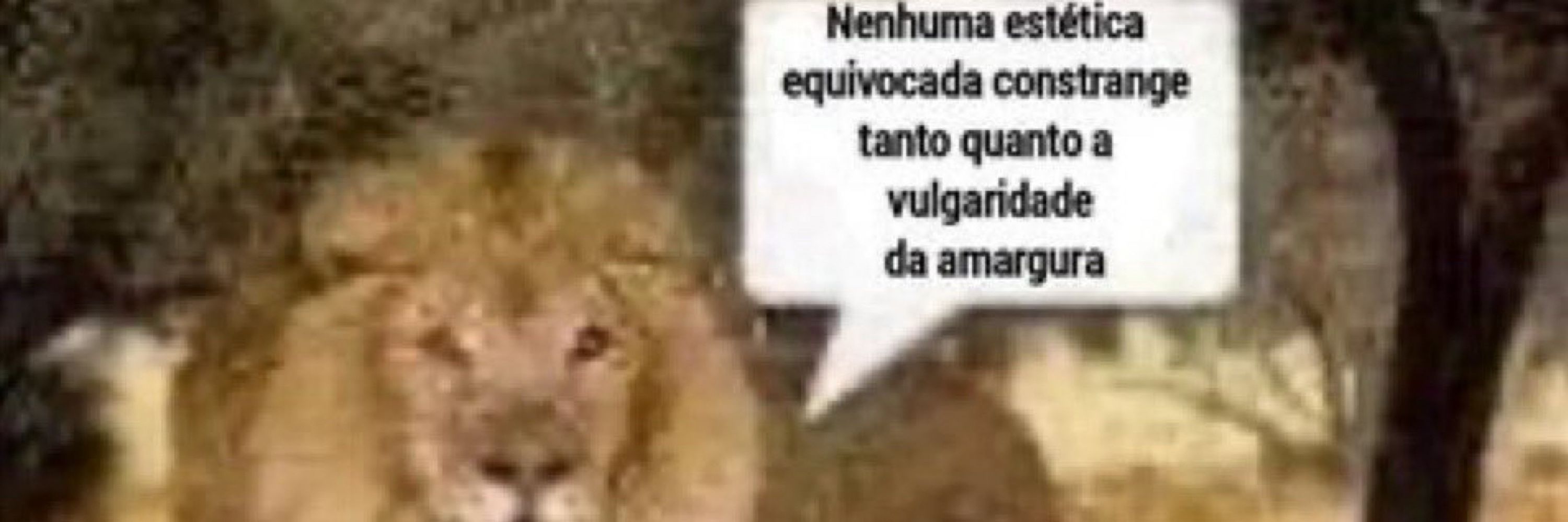 Gabs