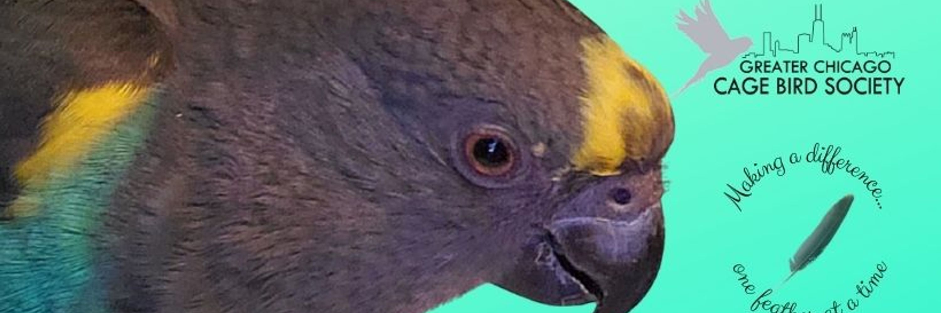 Greater Chicago Cage Bird Society