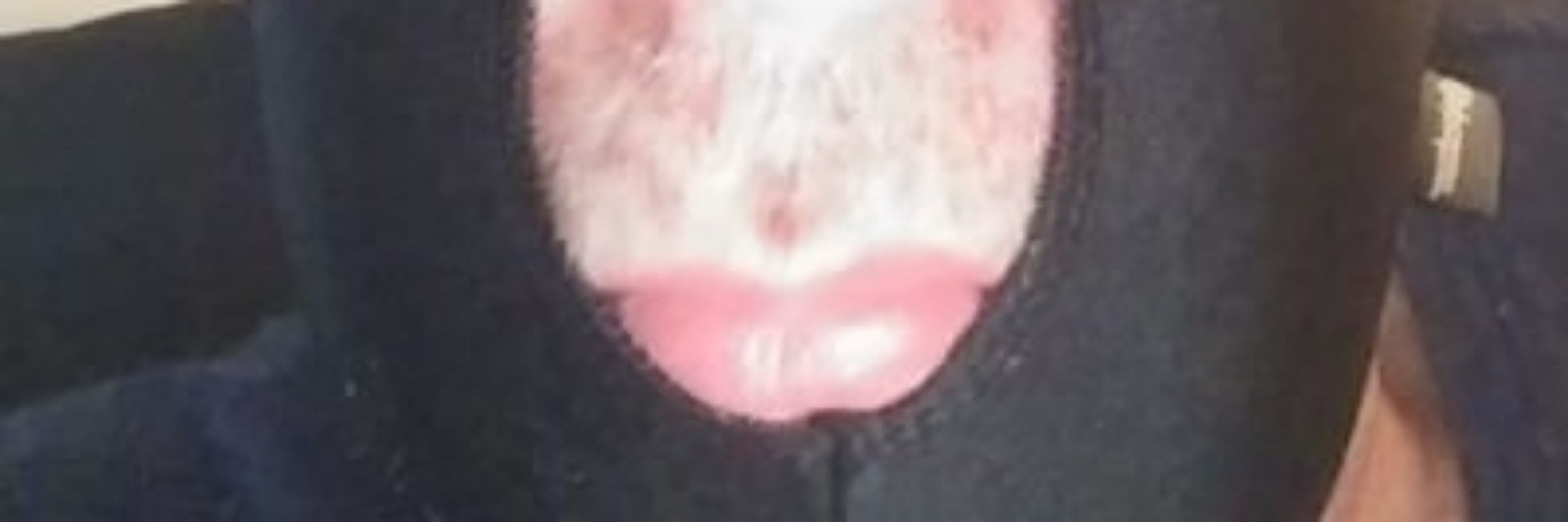 Tampa Cocksucker