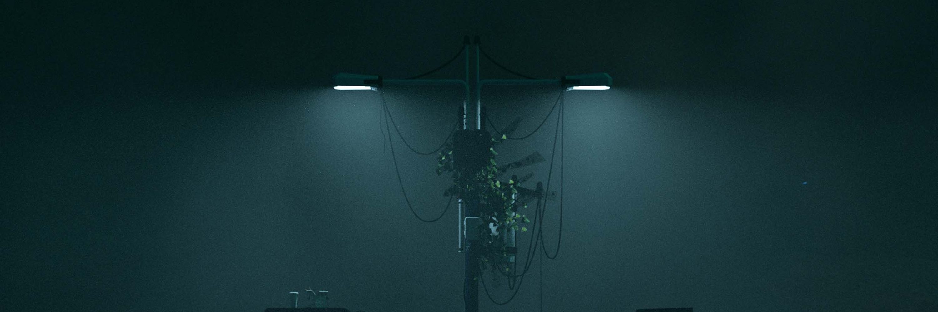 Icarus