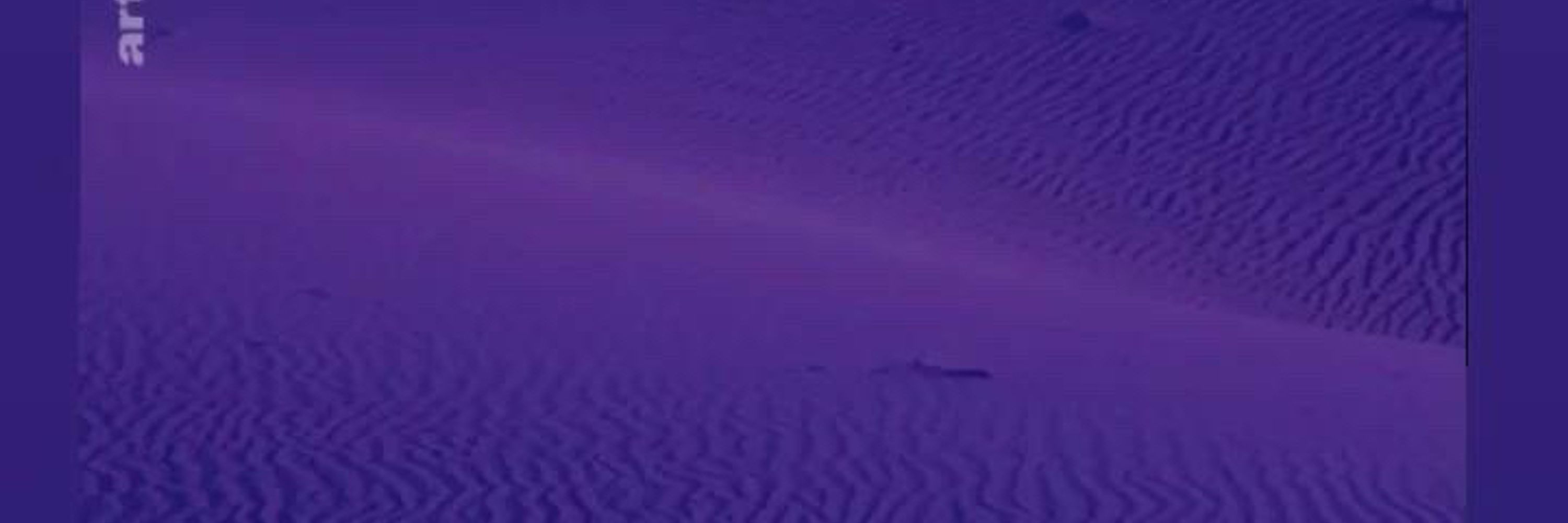 L̸o̴r̴d̴R̶e̷v̶a̷n̸1̵6̷1̵
