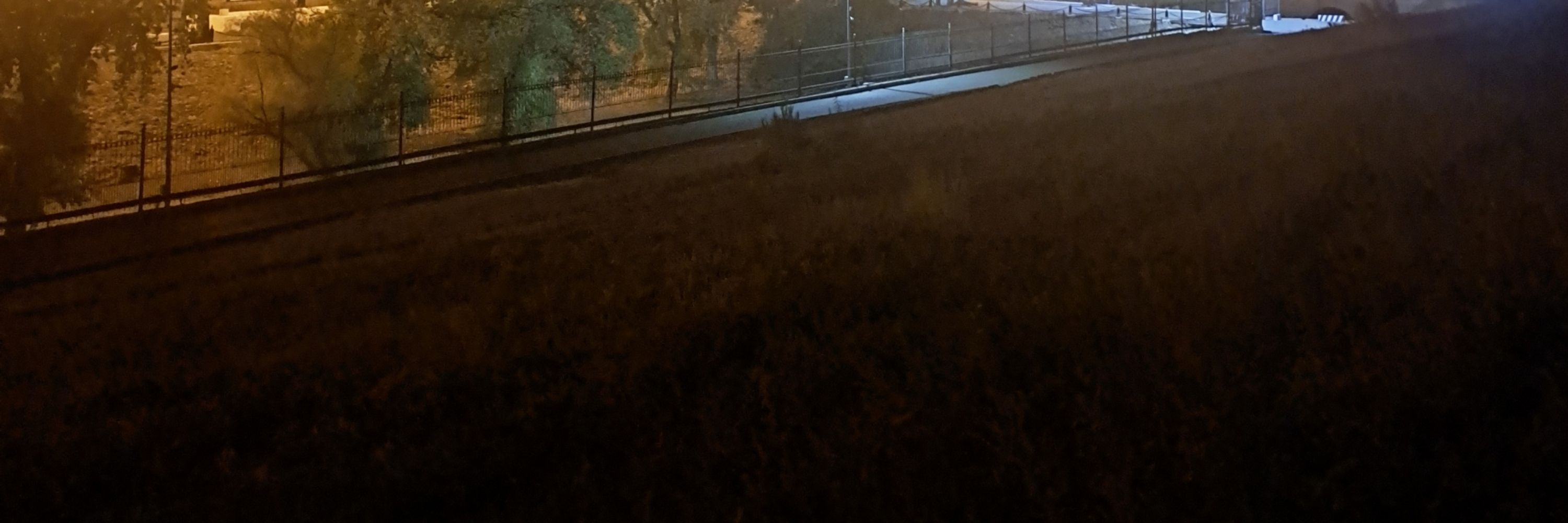 люп