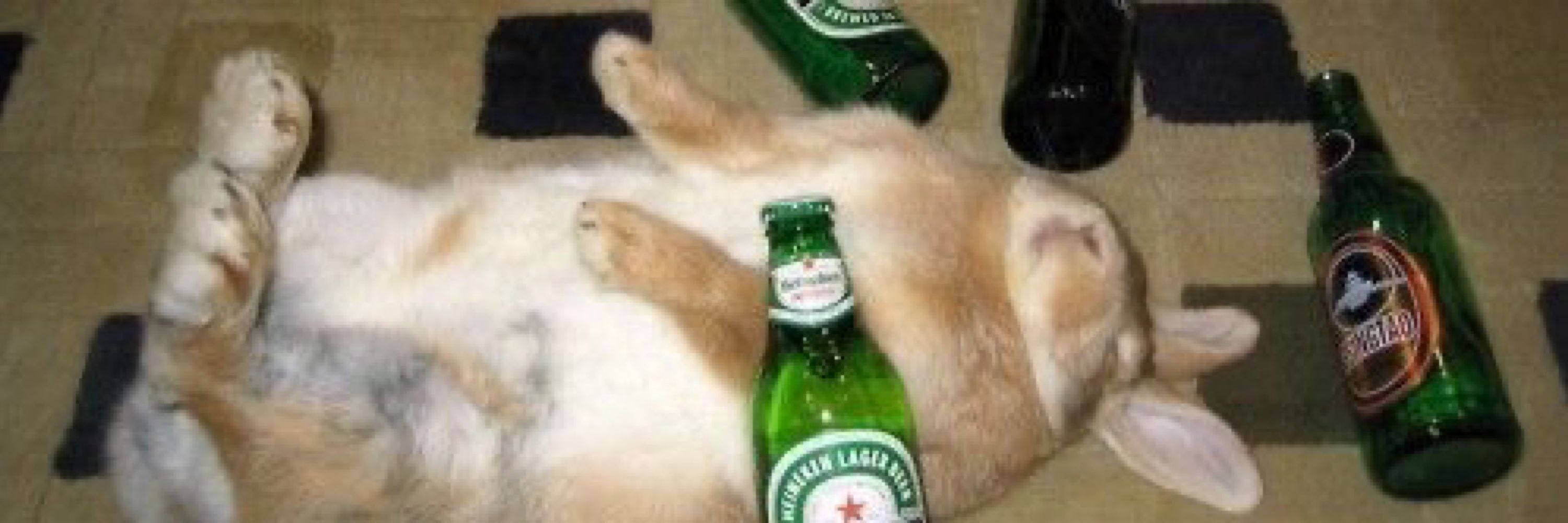 pyeo