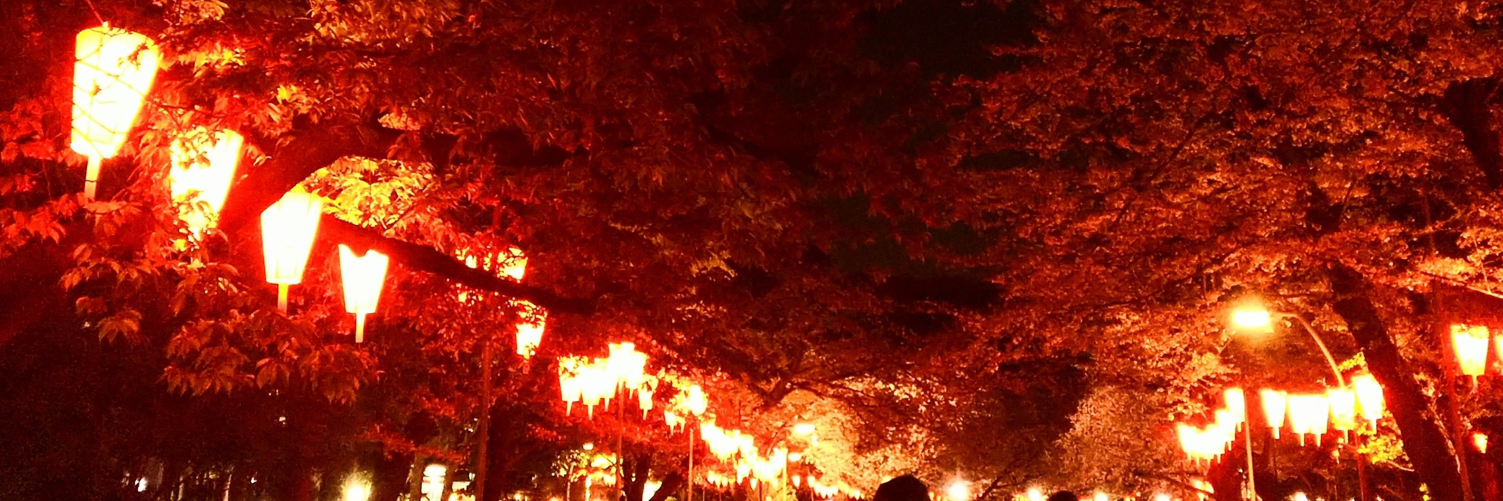 ぺじこ