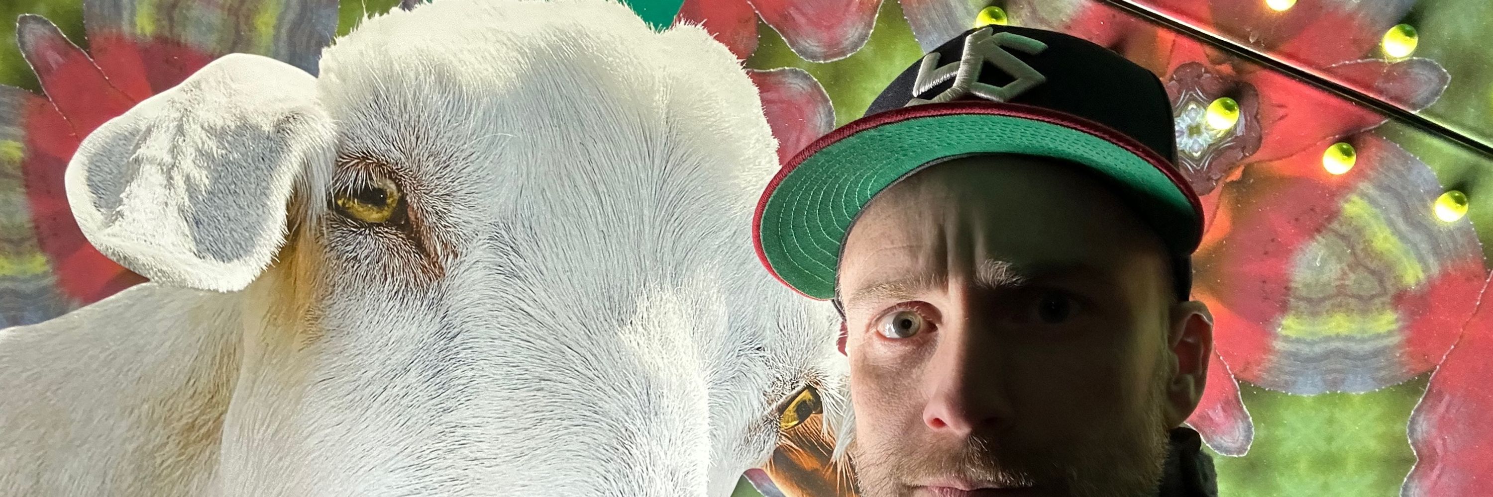 tobytobitobe