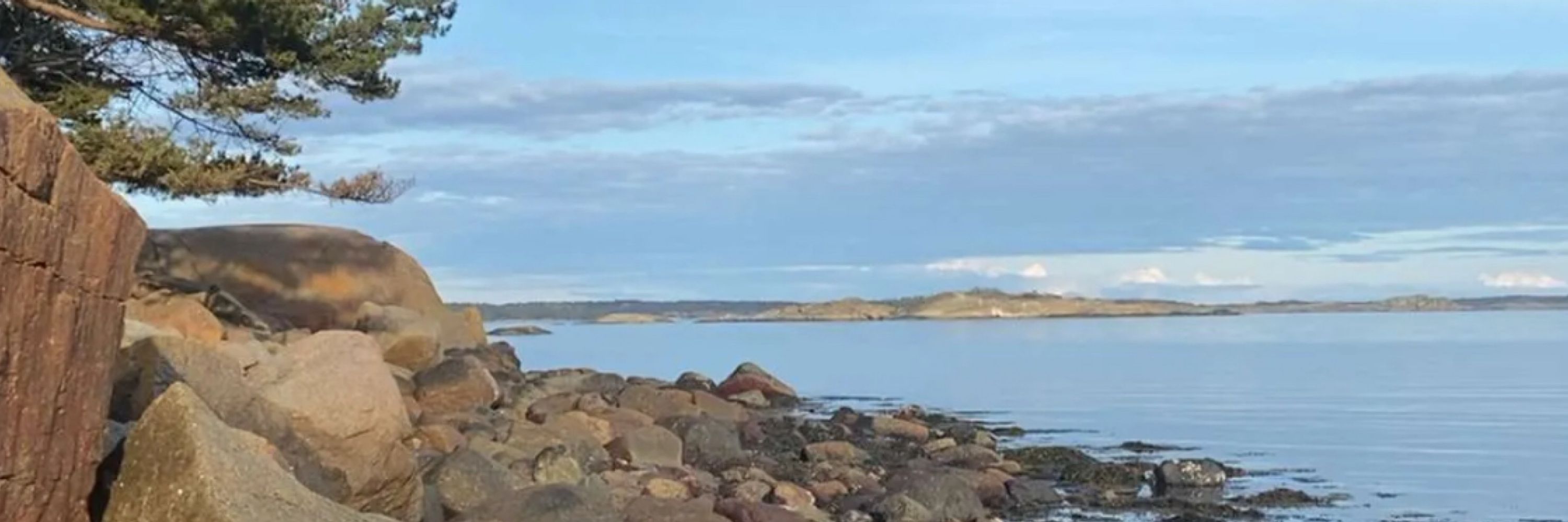 Kjetil G. Ringdal