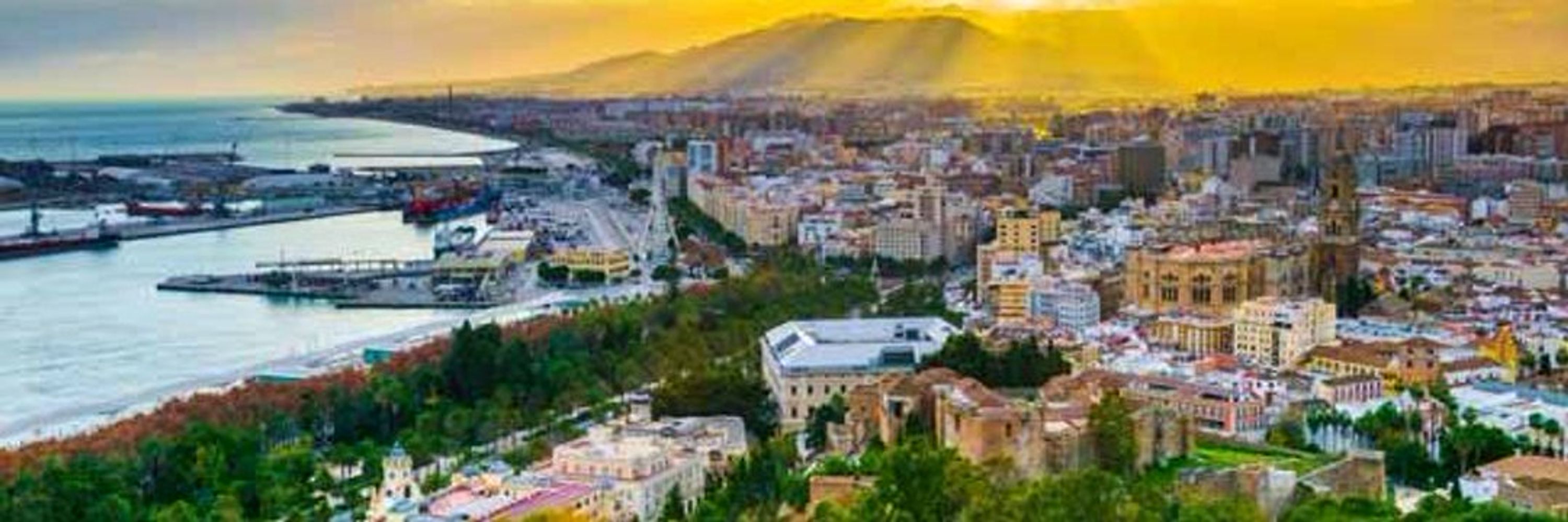 Python Málaga