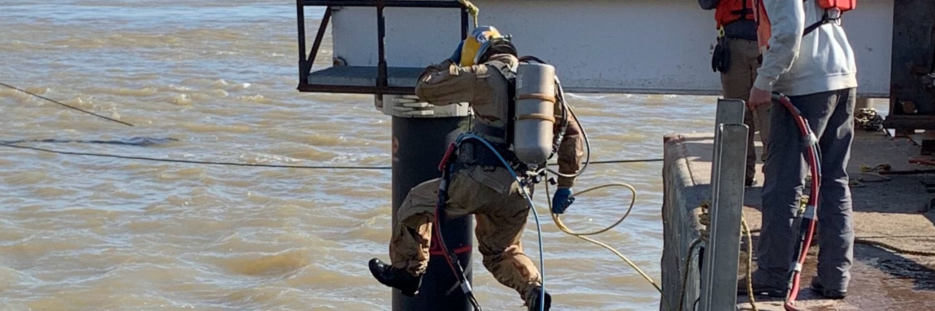 Soy boy of the deep