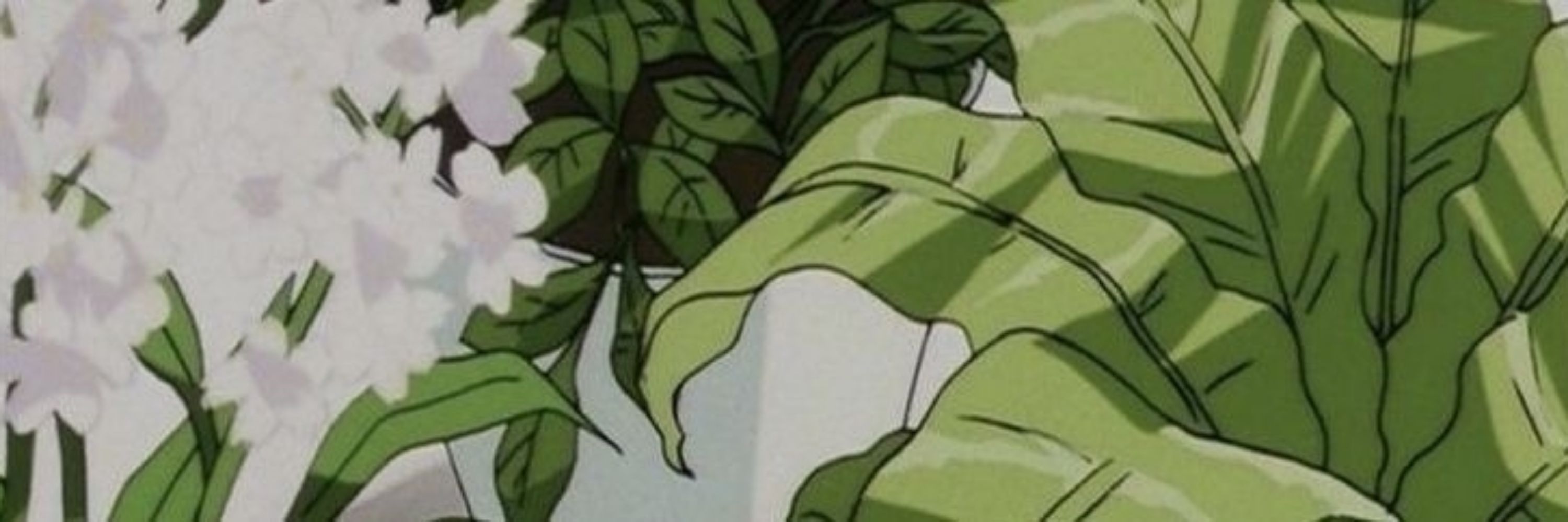 mat 🌱 