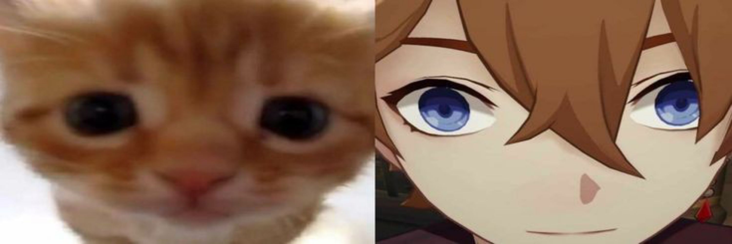 Furin(c)a🦭