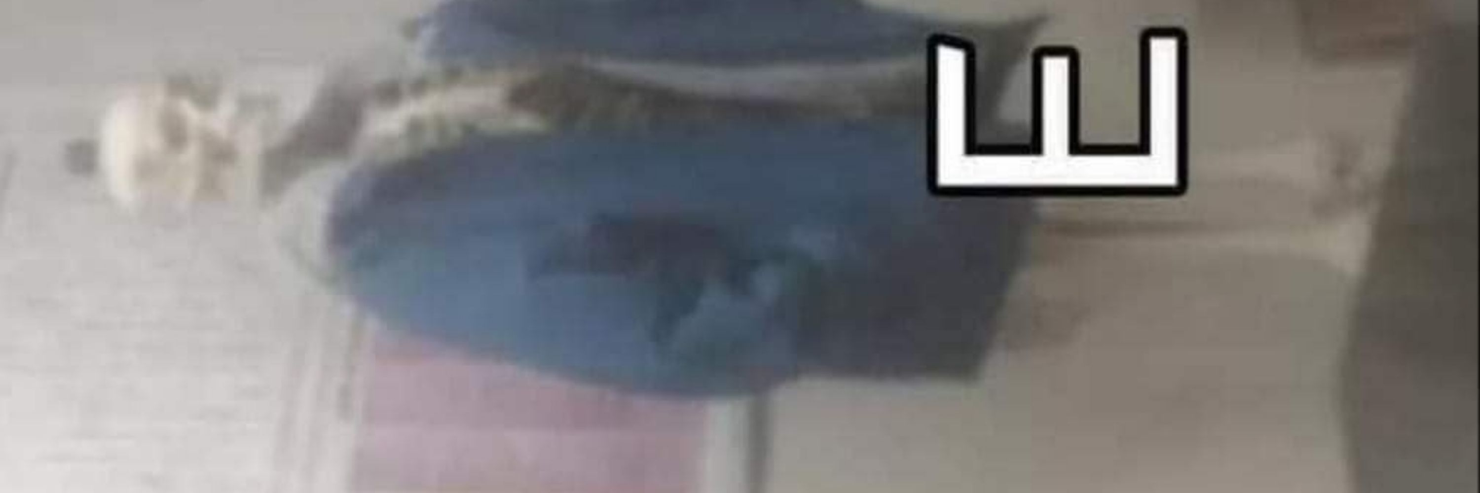 Snas