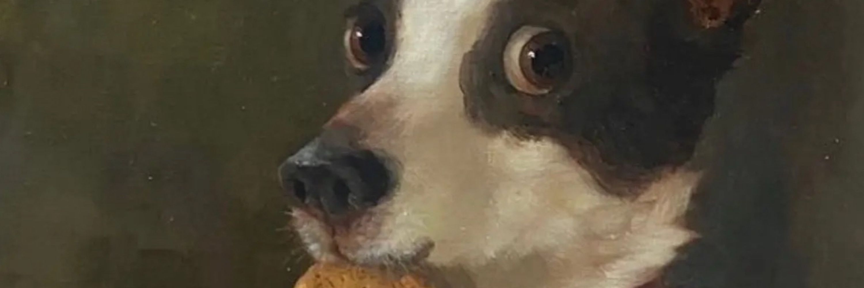 angelo
