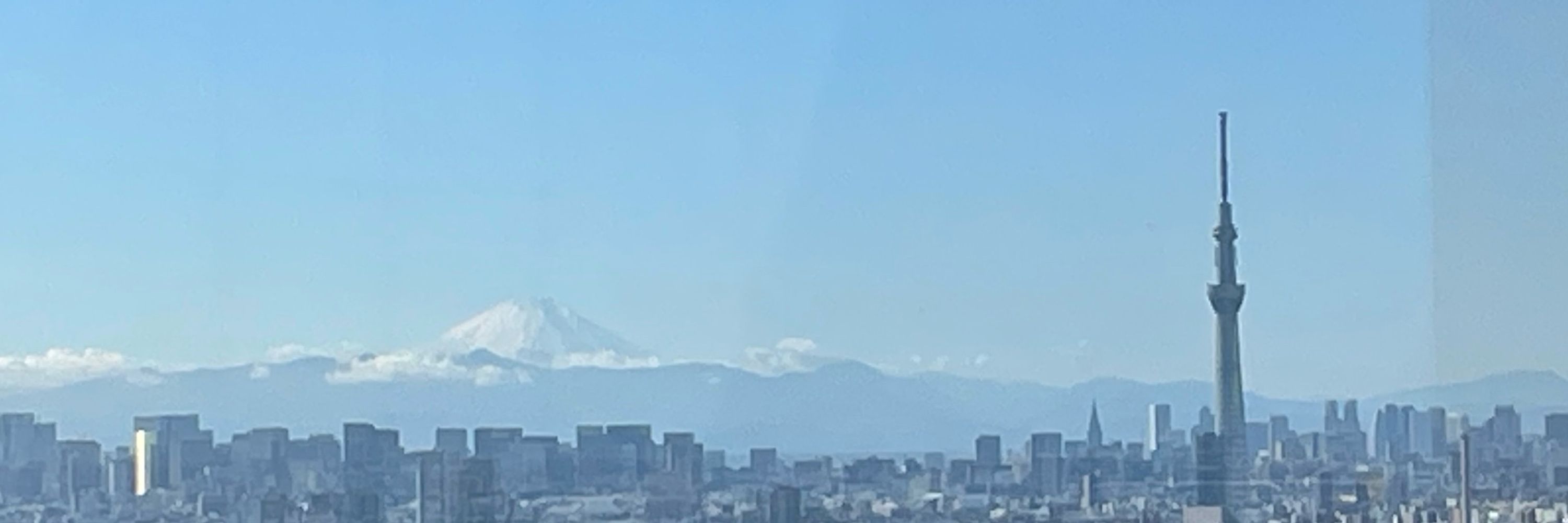 たけ