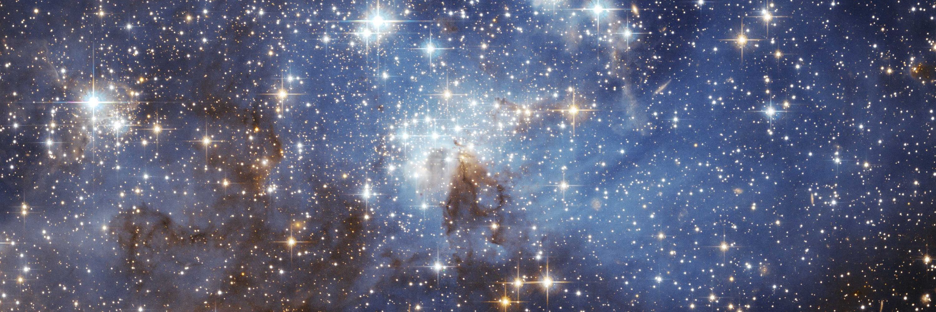 Auriga