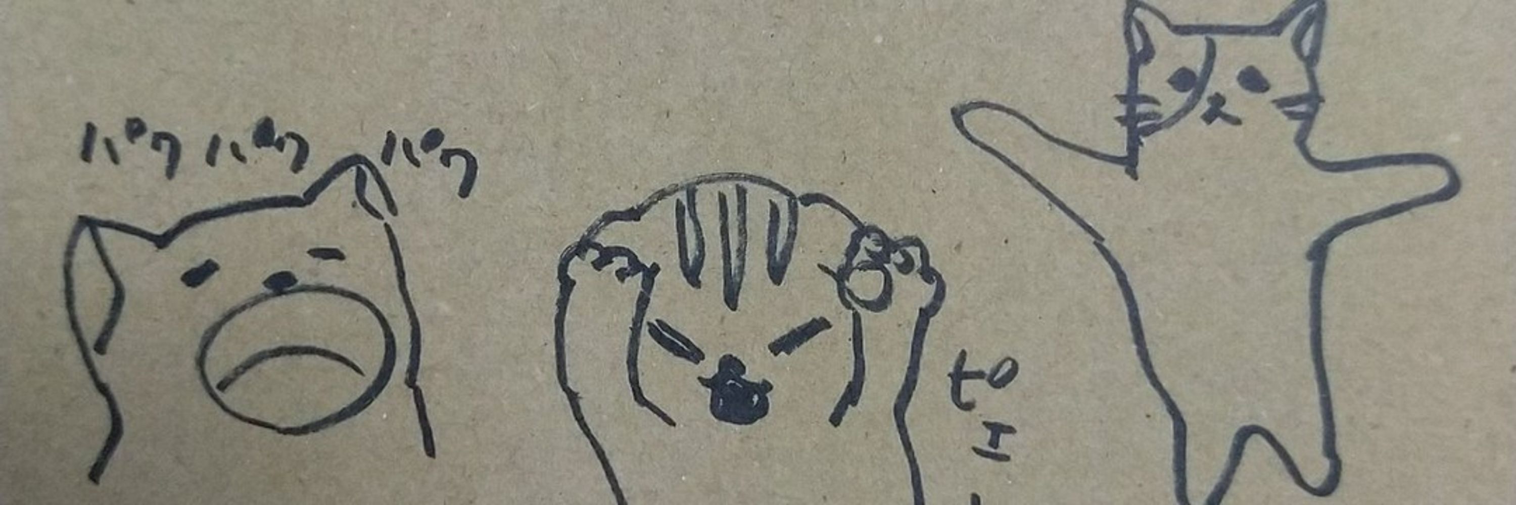夢スコ
