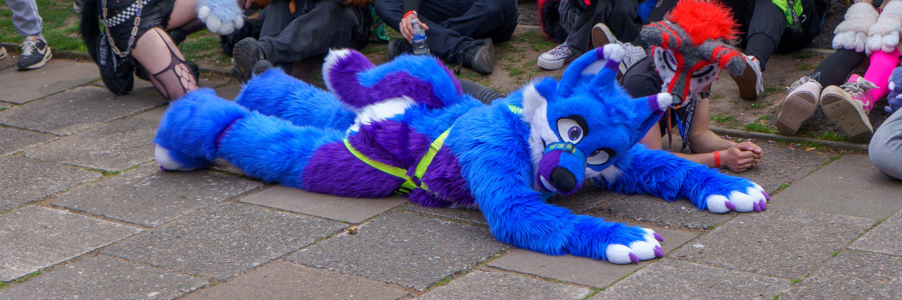 Doughnut Wuff → CFz#52