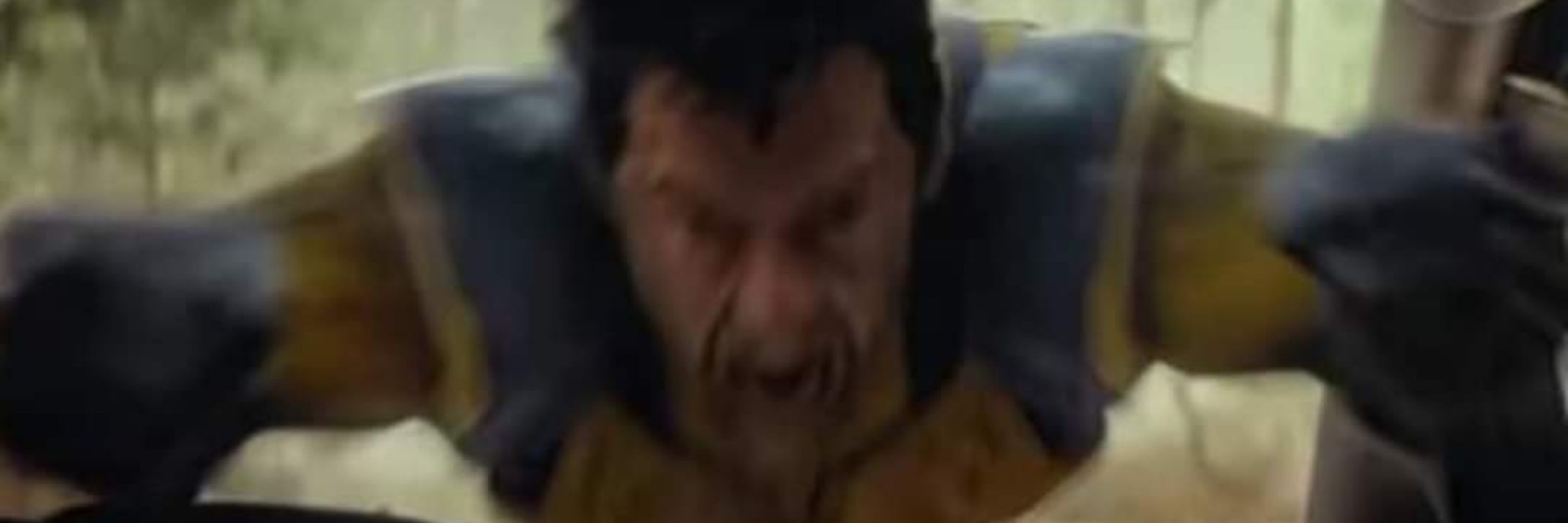 Alargabundas