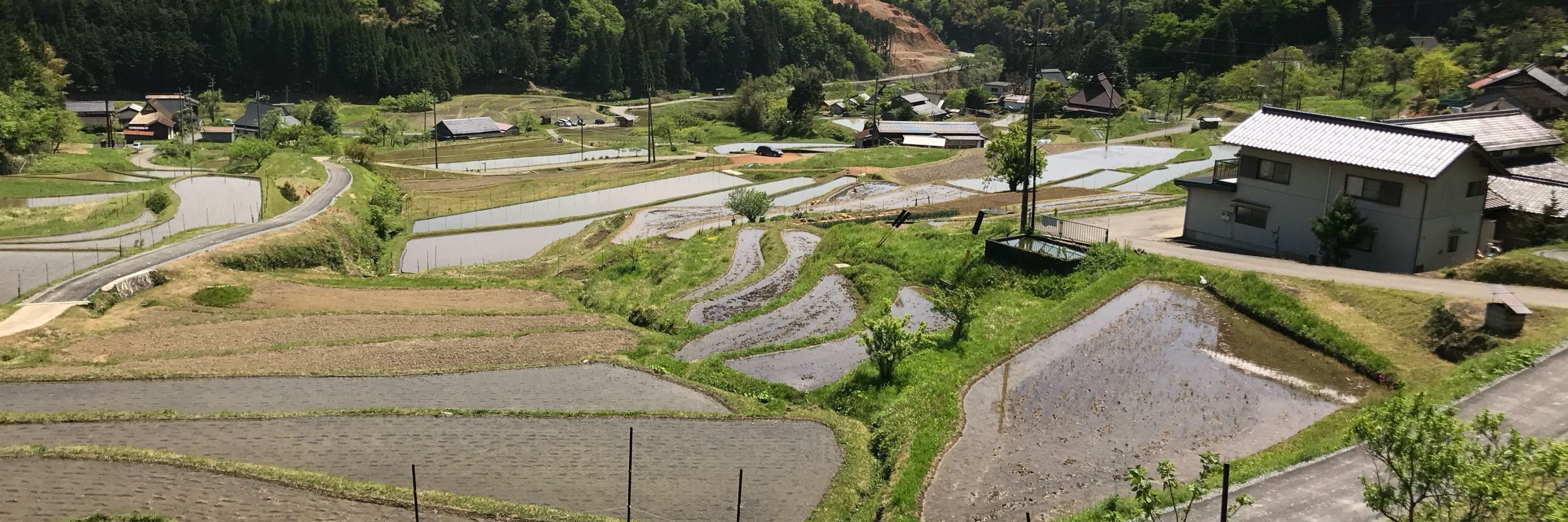 毛原の棚田