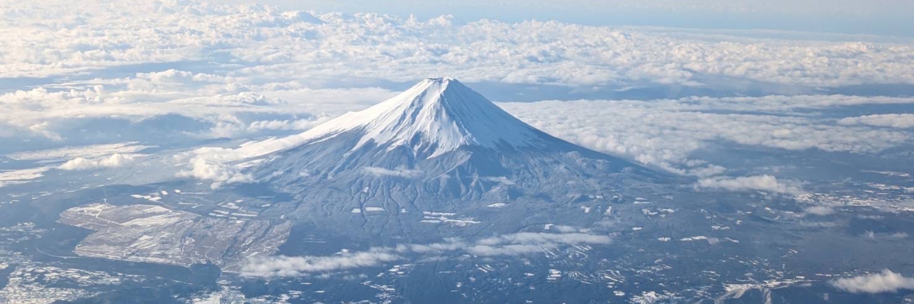 にゃにゃす