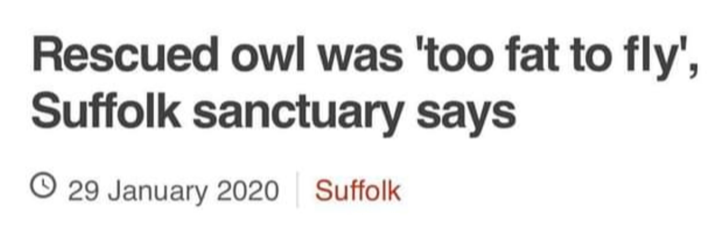 that fucking🦉that I hate