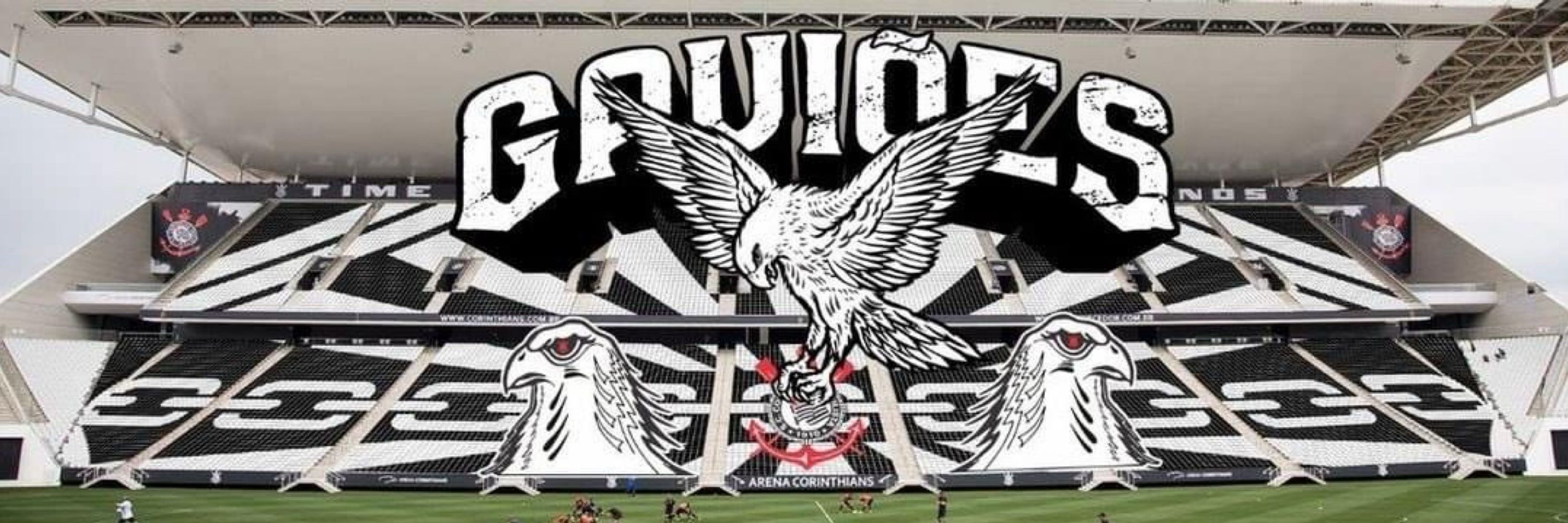 Jeffyn ˢᶜᶜᵖ 🦅⚫️⚪️