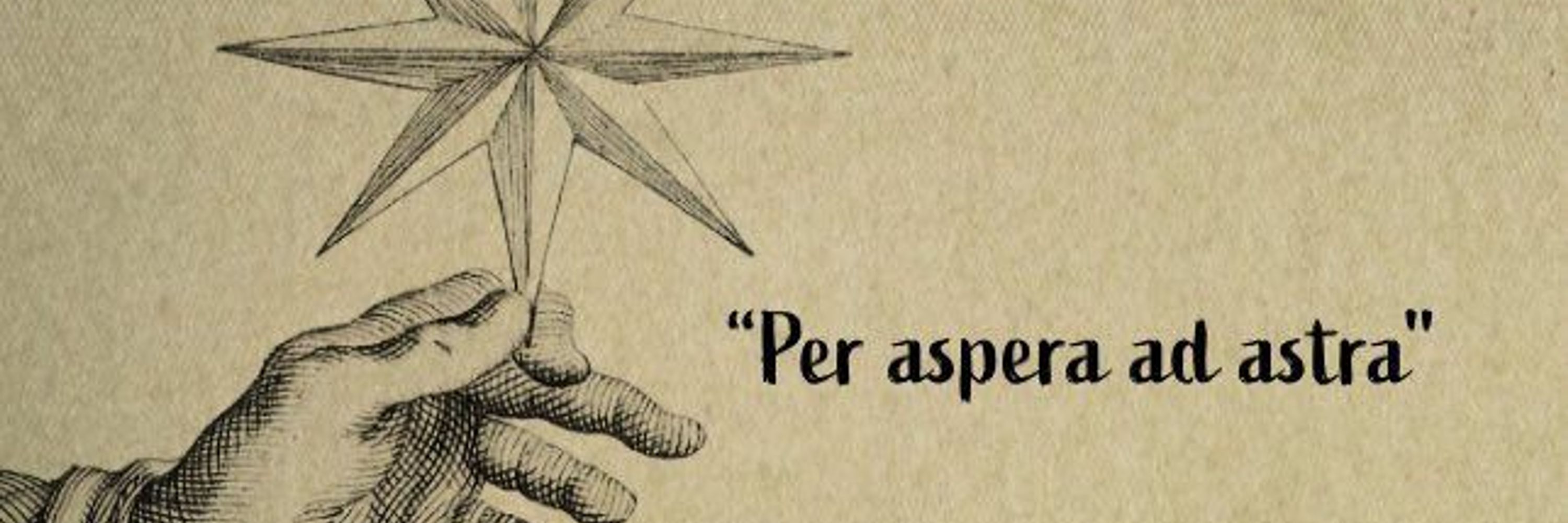 Sedef Kelleli 