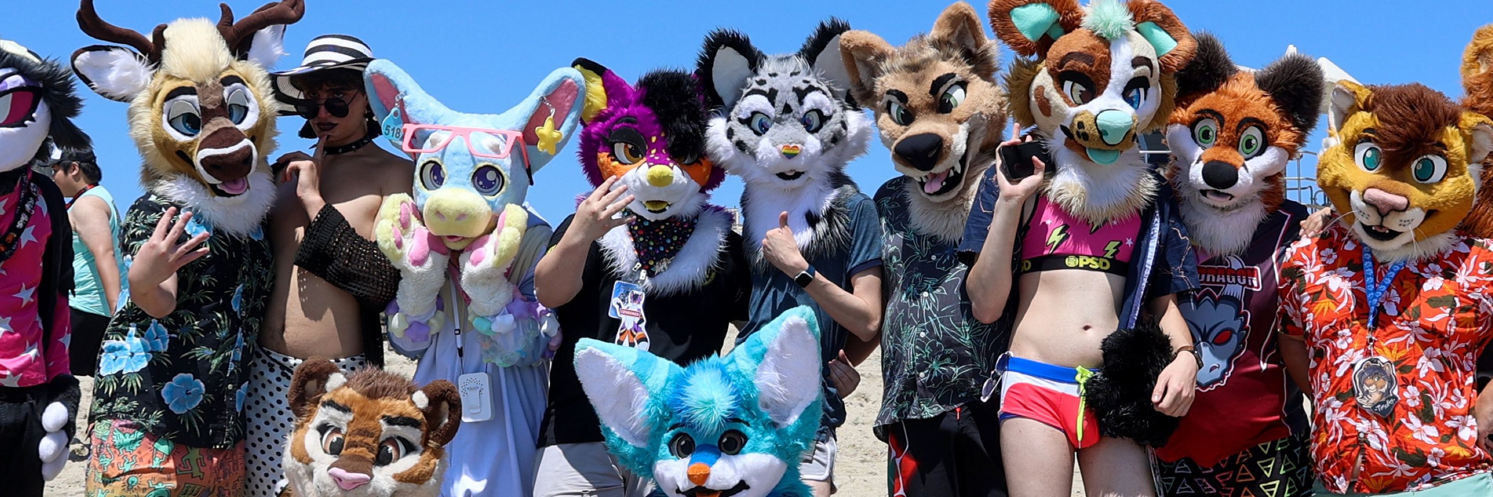 SwagCat!🔜Denfur