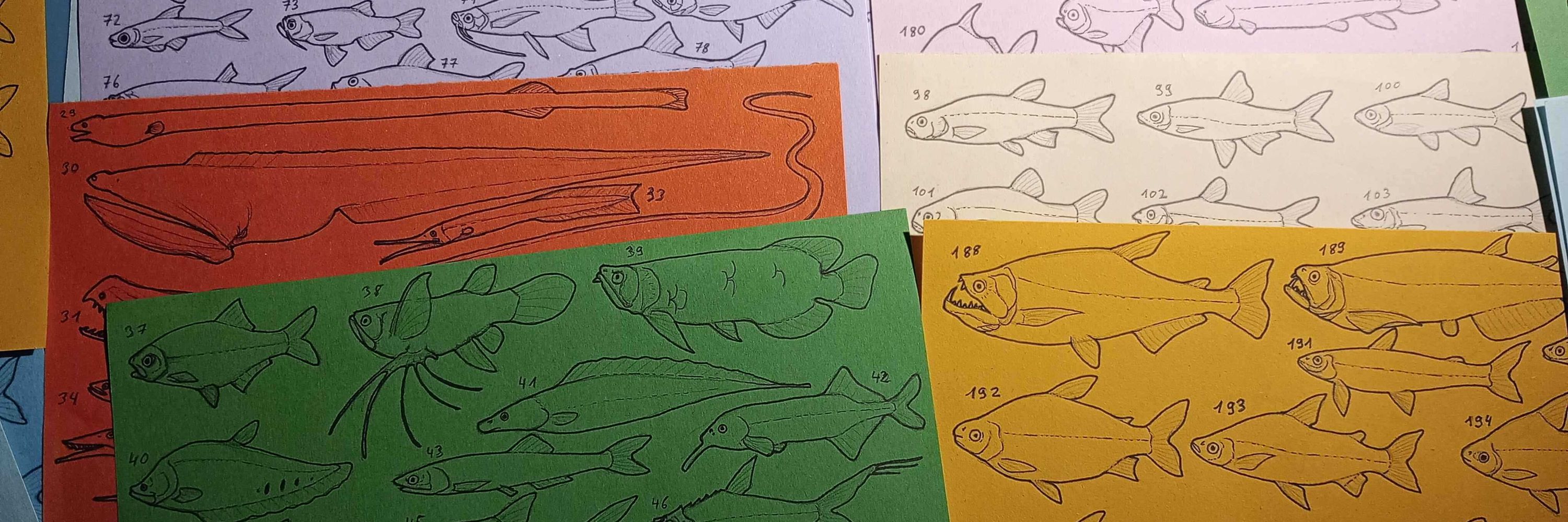 Cheetahtrout