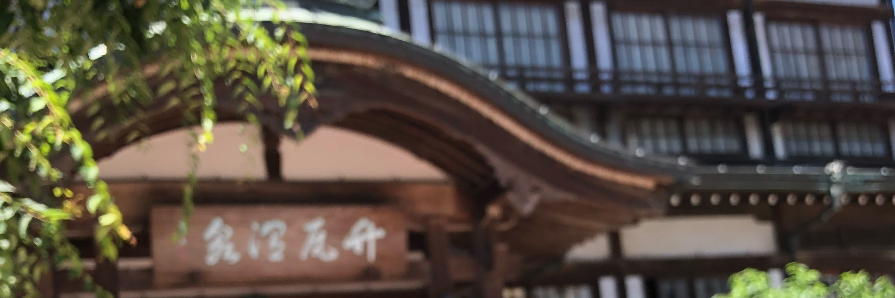 夏野羊