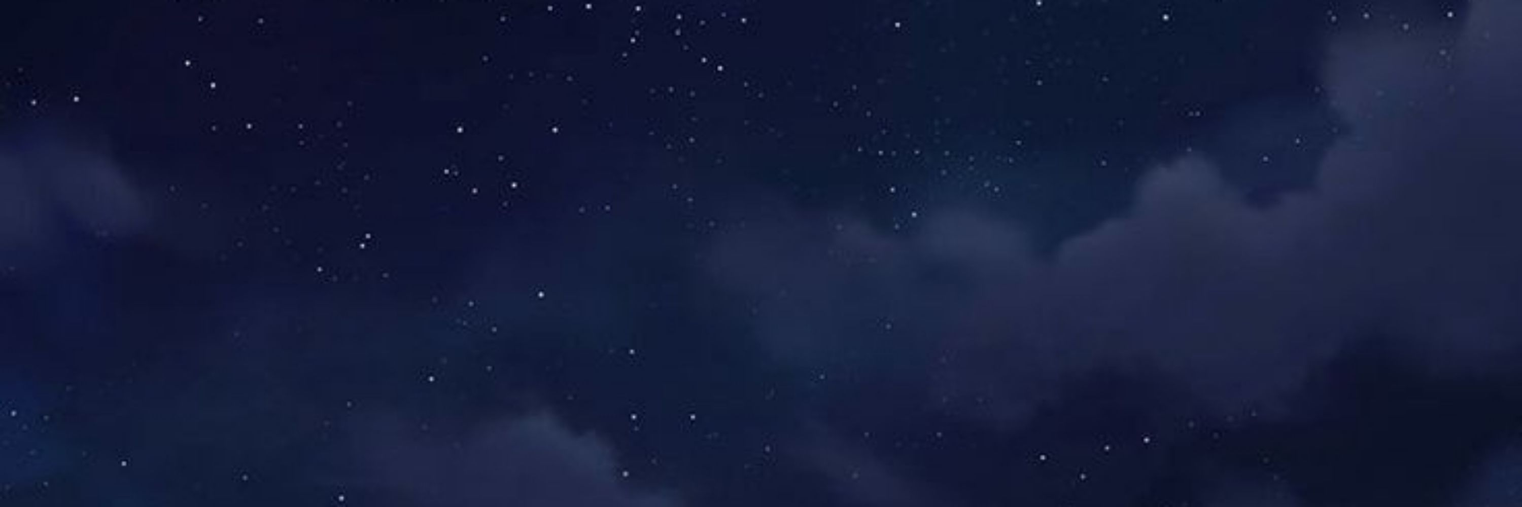 Profile banner