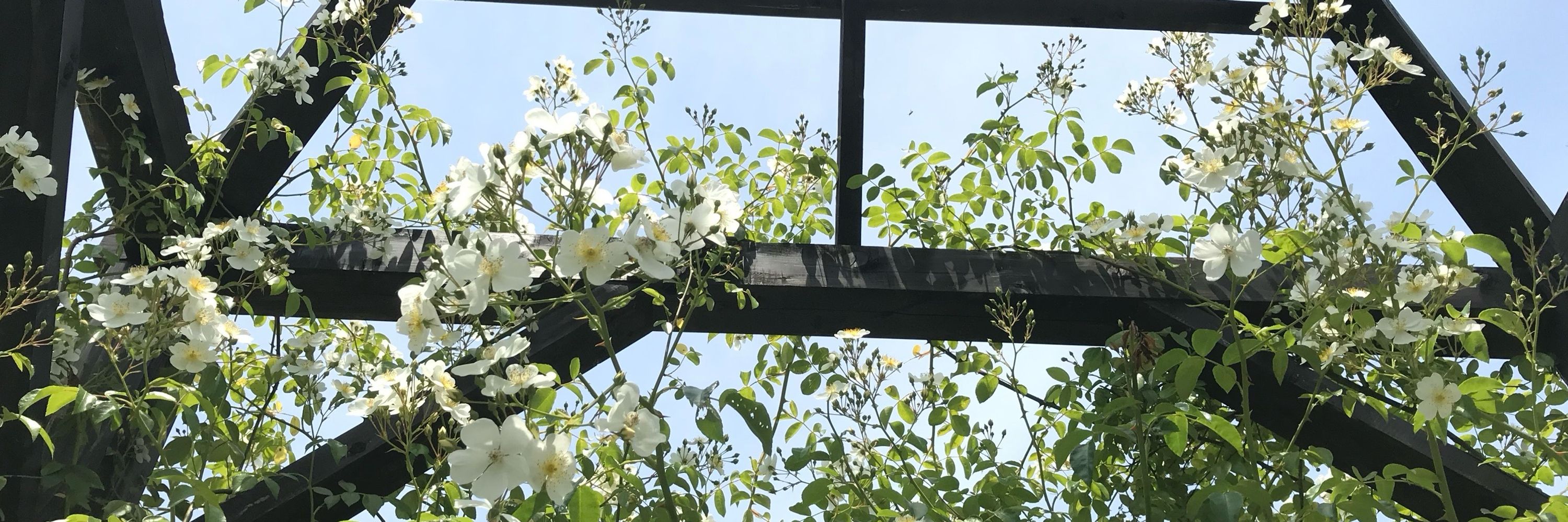 水瀬 瑠璃
